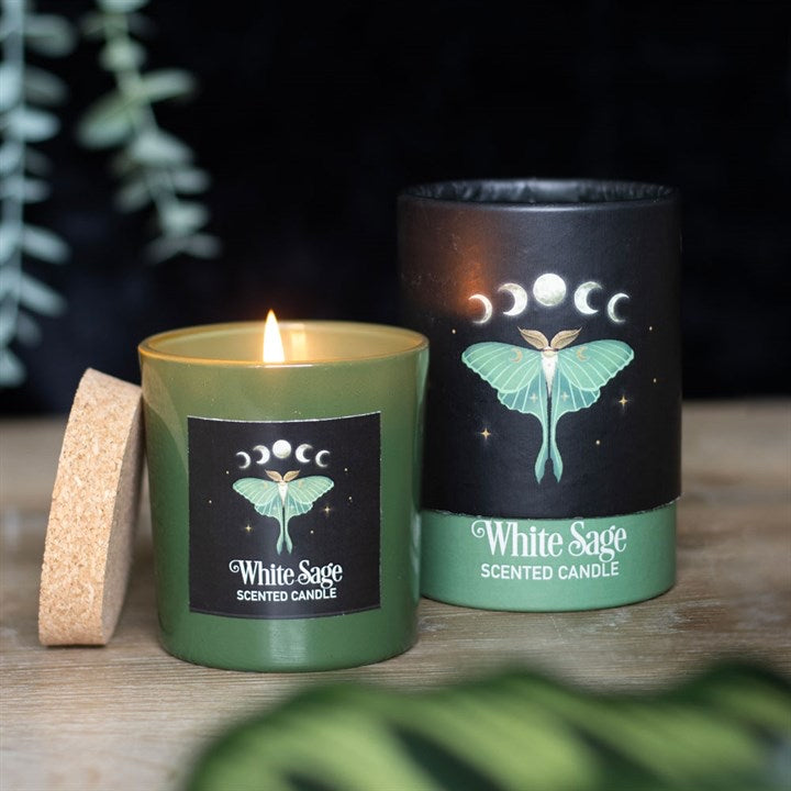 Luna moth white sage scented candle