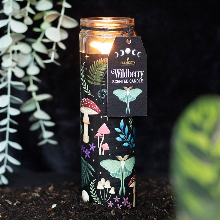 DARK FOREST WILDBERRY GLASS TUBE CANDLE