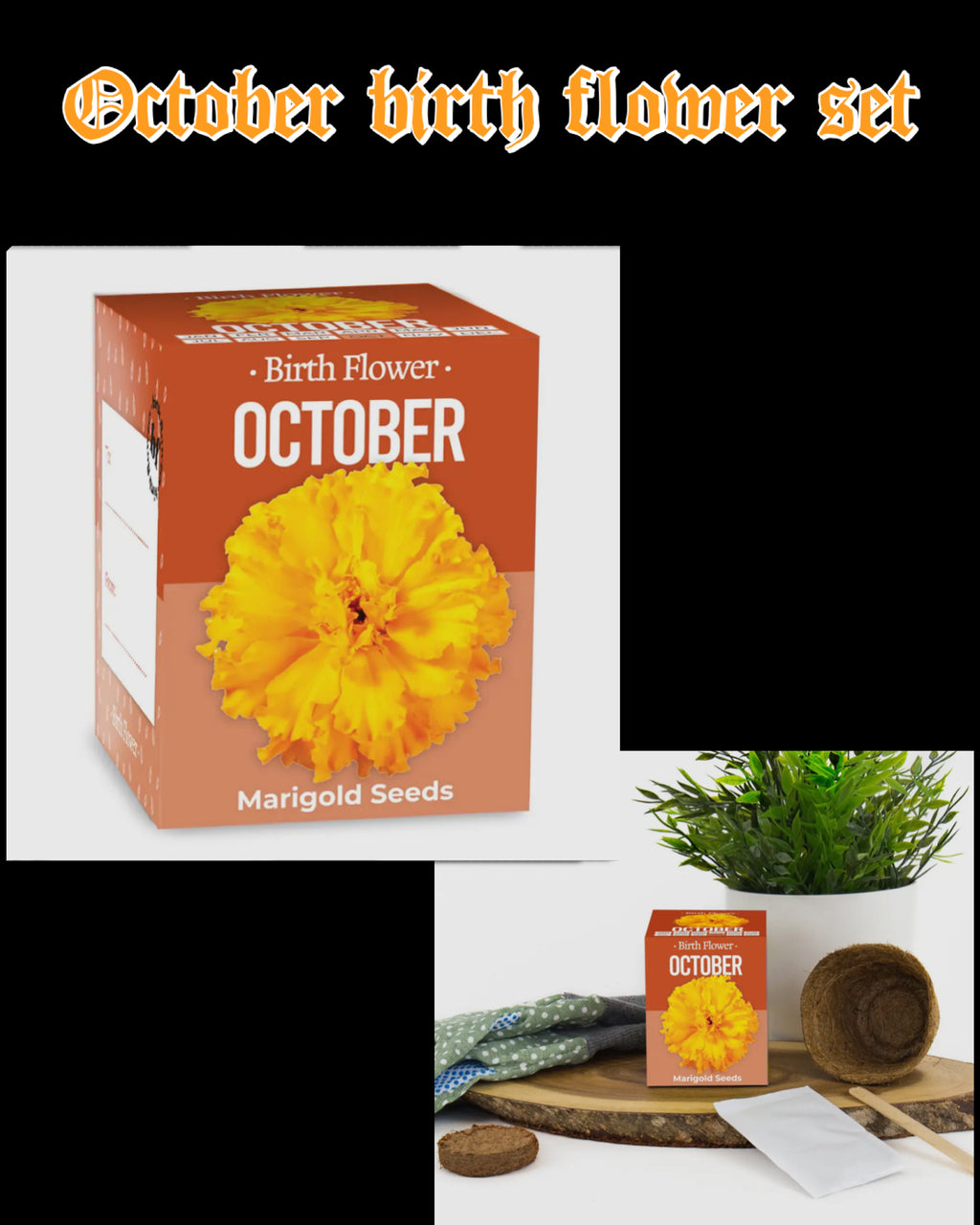 October birth flower grow set