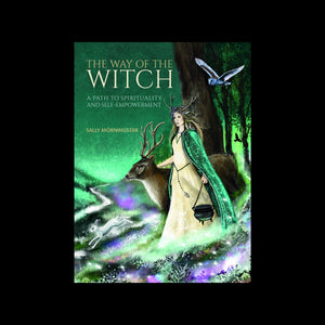 THE WAY OF THE WITCH HARDBACK BOOK