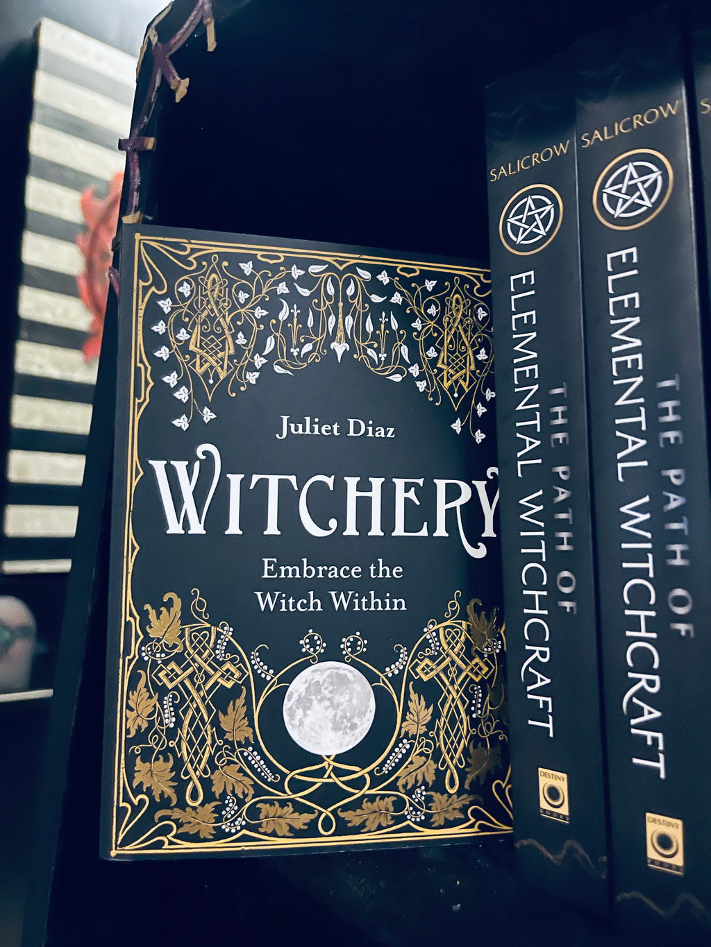 WITCHERY book- embrace the witch within
