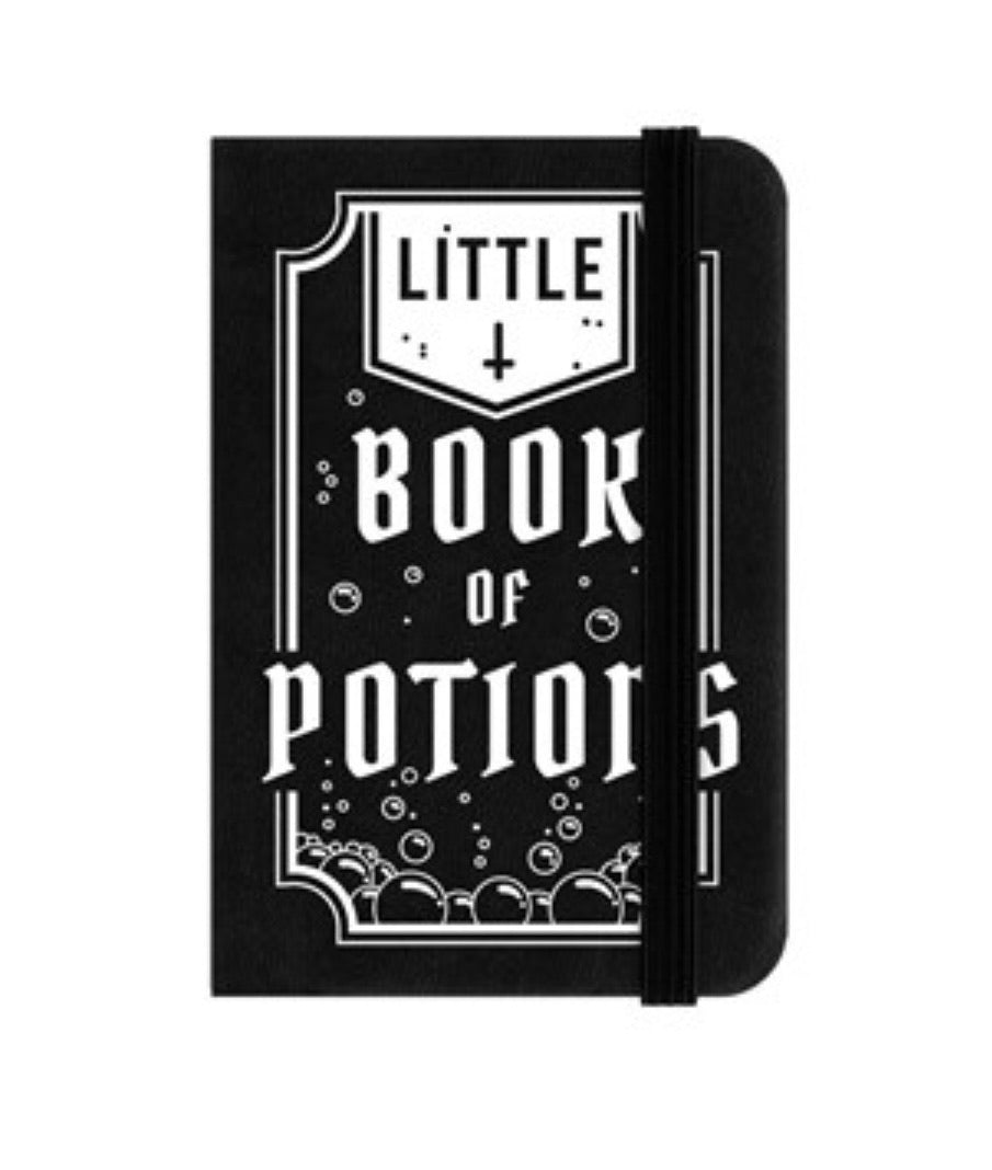 Little book of potions mini notebook /creepy things/carpe noctem