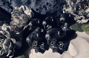 Poe- raven skull soap