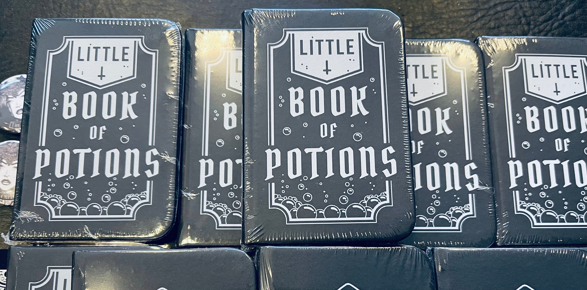 Little book of potions mini notebook /creepy things/carpe noctem