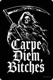 Carpe diem bitches tin sign